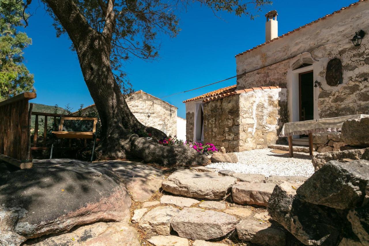 Casa Vacanza Stazzu Saiacciu Palau Exterior photo
